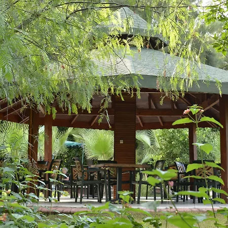 Greenwood Kemer