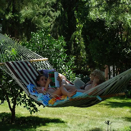 Greenwood Kemer